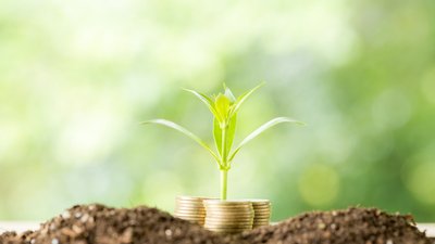 На развитие АПК и сел Ивановской области в 2024 году предусмотрено 516 млн руб.
