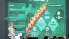 Оксана Лут: Россия сохранит статус одного из ключевых поставщиков зерна на мировой рынок