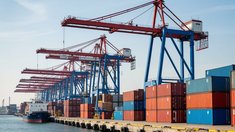 Экспорт АПК Курской области вырос в полтора раза до 695 млн долл. за восемь месяцев