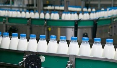 Объём реализации молока в сельхозорганизациях вырос на 6,1%