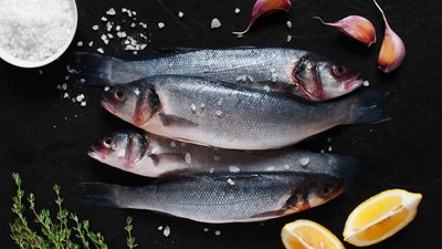 Уровень самообеспеченности рыбной продукцией в РФ в 2023 году составил 165% — Патрушев