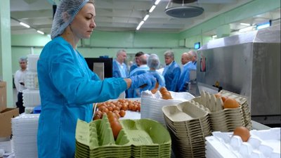 Сельхозпредприятия Новосибирской области обеспечивают продовольственную безопасность при поддержке региональных властей