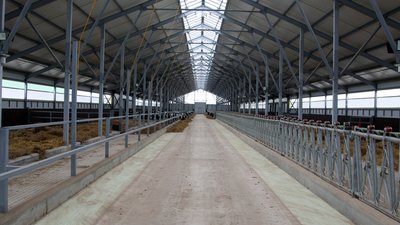 Крупный инвестпроект в сфере животноводства реализовали в Чувашии