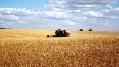 Кредитование сезонных полевых работ увеличилось на 18%