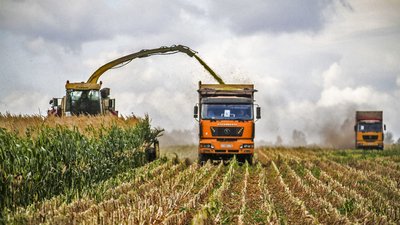 Липецкая область обеспечила 86% потребности КРС в грубых и сочных кормах на зиму
