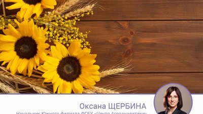 Рынок зерновых и масличных культур в Татарстане 