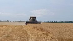 Уборочная кампания стартовала в Нижегородской области