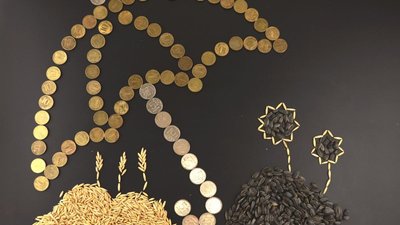 НСА: возможности ФГИС «Зерно» могут быть использованы для совершенствования российского агрострахования