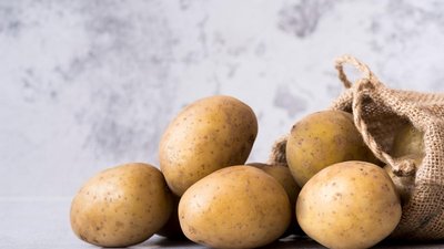 Темпы уборки картофеля в России выше, чем в прошлом году