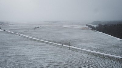Под урожай 2024 года в Московской области посеяли 95 тыс. га озимых 