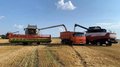Аграрии Брянской области ведут уборку зерновых, рапса и картофеля