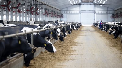 На развитие АПК Кабардино-Балкарии в 2023 году направлено порядка 3,7 млрд рублей