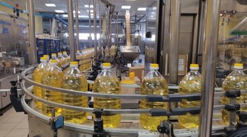 «Сигма» стала лучшим агроэкспортёром УрФО на фоне роста производства масличных на Южном Урале