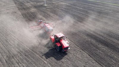 В Башкортостане площади озимых культур в 2024 году на треть больше