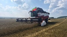 В Татарстане приступили к уборке зерновых культур