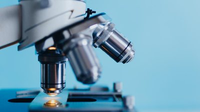 Дальневосточные ученые нашли ферменты для защиты растений в морских организмах
