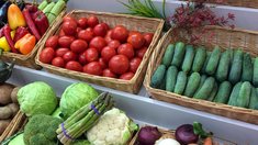 Овощи в России будут дешеветь с весны — Минсельхоз