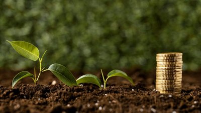 В России в 2024 году сохранят все меры господдержки фермеров — Лут