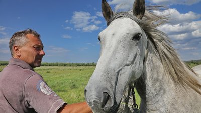 Фермерам Красноярского края предлагают гранты до 8 млн рублей