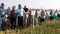 В Красноярском крае завершился краевой сельскохозяйственный форум «День поля 2026»