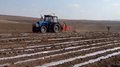 Посевная площадь картофеля в Забайкалье на 8% превысит уровень 2025 года
