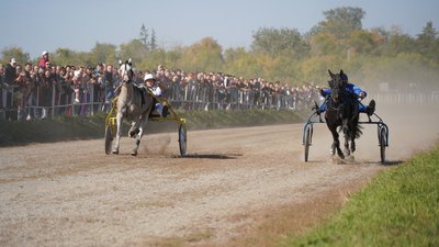 В Троицке состоялись конноспортивные соревнования на Кубок Губернатора Челябинской области