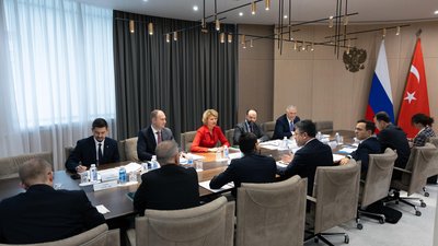 Россия предложила Турции открыть прямые поставки говядины и расширить агроторговлю