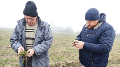 В Советском районе Ставрополья продолжается комплексная работа специалистов Россельхозцентра   