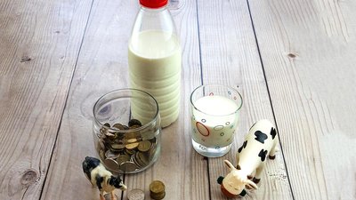 Удмуртские сельхозорганизации на 5,5% увеличили суточное производство молока
