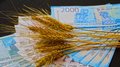Минсельхоз России прорабатывает дополнительные меры поддержки аграриев