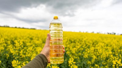 Страны ЕАЭС будут наращивать объемы производства масличного сырья — эксперт
