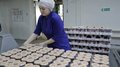 Экспорт продукции АПК Вологодской области вырос на 43,4% за девять месяцев