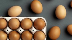 Производство яиц в Костромской области выросло на 10,7%