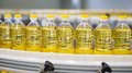 Россия нарастила производство и экспорт растительных масел