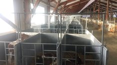 Предприятие Томской области развивает производство с помощью господдержки