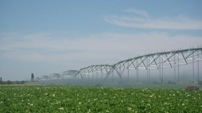 В 2023 году в Чувашии планируют реализовать пять проектов мелиорации