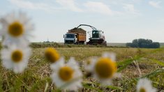 В Ивановской области стартовала кормозаготовительная кампания