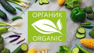 В Белгородской области сертифицирована первая органическая спаржа