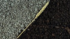 Аграрии Свердловской области приобрели 16 тыс. т минеральных удобрений под урожай 2026 года