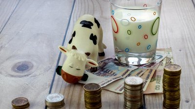Топ-30 переработчиков молока сохраняют долю рынка на уровне 50%