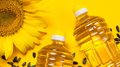 Производство масложировой продукции в России выросло на 11% 