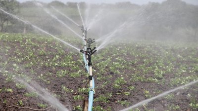 Мероприятия по мелиорации в Чеченской Республике реализованы почти на 2 тыс. га