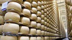 День любителей сыра: Подмосковье – лидер в России по объемам производства