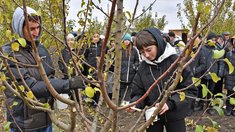 Школьники ЛНР ознакомились с современными технологиями в сельском хозяйстве