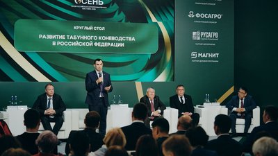 В России создают единую цифровую систему племенного учета табунных лошадей