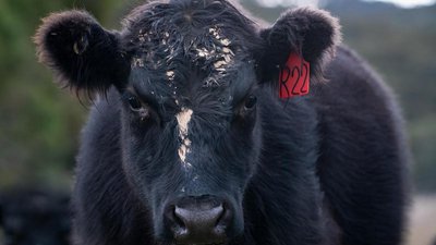 Обзор событий в сельском хозяйстве Калужской области в мае 2022 года