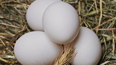В Ивановской области самые низкие в ЦФО цены производителей на яйца