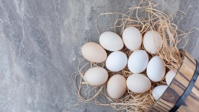 В Россию к 17 июня ввезено около 400 млн пищевых яиц