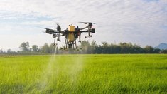 В России в 2026 году планируют обработать с помощью дронов более 1 млн га полей