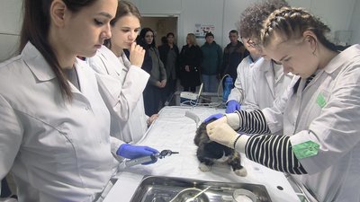 Предприятия АПК Красноярского края готовы принять на работу более полутора тысяч специалистов
